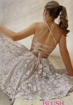 Lace Embroidery Short Dress 20404