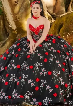 LizLuo Quinceanera 26099