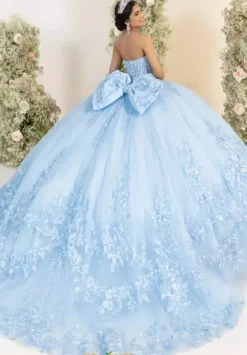 LizLuo Quinceanera 56554