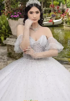 LizLuo Quinceanera 26102