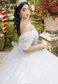 LizLuo Quinceanera 26102