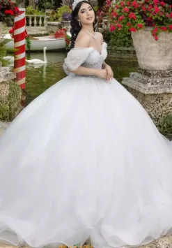 LizLuo Quinceanera 26102