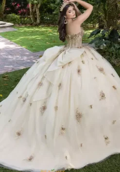LizLuo Quinceanera 56525