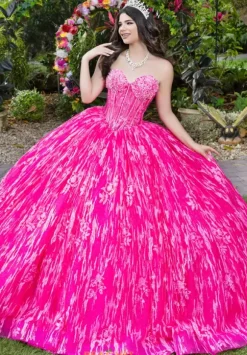 LizLuo Quinceanera 56528