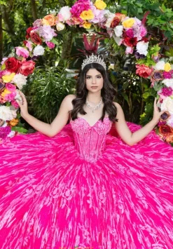 LizLuo Quinceanera 56528
