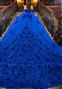 LizLuo Quinceanera 80047