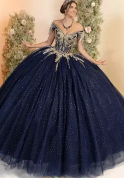 LizLuo Quinceanera 56555