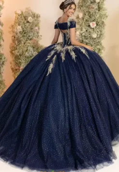 LizLuo Quinceanera 56555