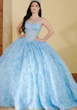 LizLuo Quinceanera 56510