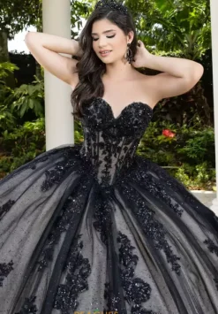 LizLuo Quinceanera 56530