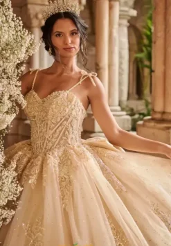 LizLuo Quinceanera 56546