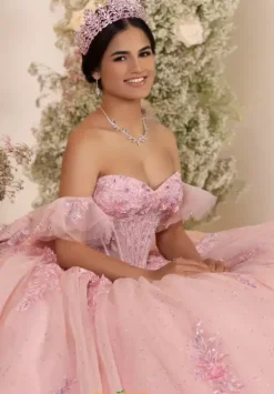 LizLuo Quinceanera 56553