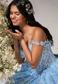 LizLuo Quinceanera 56549