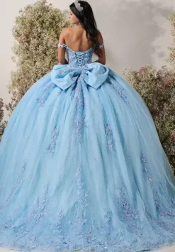 LizLuo Quinceanera 56549