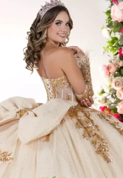 LizLuo Quinceanera 26134