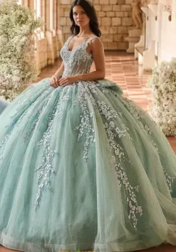 LizLuo Quinceanera 56541
