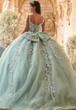 LizLuo Quinceanera 56541