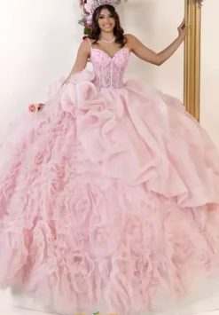 LizLuo Quinceanera 80061