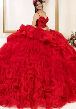 LizLuo Quinceanera 80061