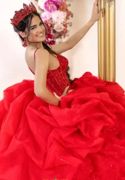 LizLuo Quinceanera 80061