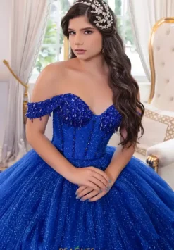 LizLuo Quinceanera 80018