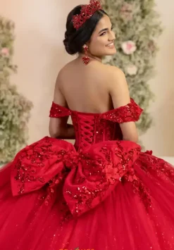 LizLuo Quinceanera 56557