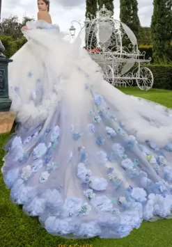 LizLuo Quinceanera 80025