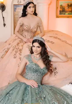 LizLuo Quinceanera 26106