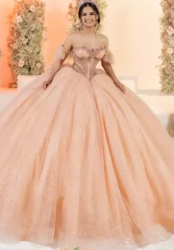 LizLuo Quinceanera 56561