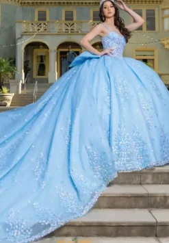 LizLuo Quinceanera 26086