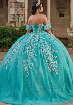 LizLuo Quinceanera 56545