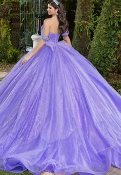 LizLuo Quinceanera 56537