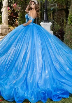 LizLuo Quinceanera 56537