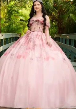 LizLuo Quinceanera 56520