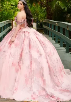 LizLuo Quinceanera 56520