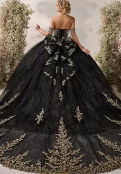 LizLuo Quinceanera 26117