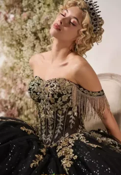 LizLuo Quinceanera 26117