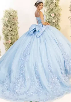 LizLuo Quinceanera 56563