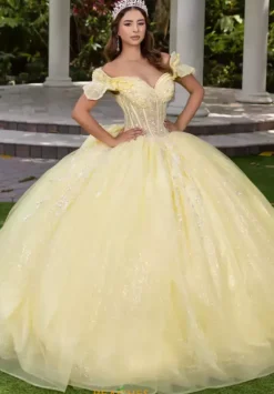 LizLuo Quinceanera 56535