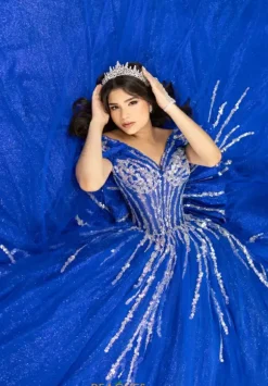 LizLuo Quinceanera 56535