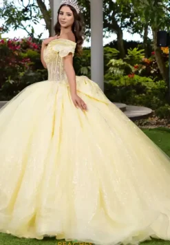 LizLuo Quinceanera 56535