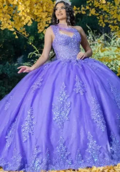 LizLuo Quinceanera 26091