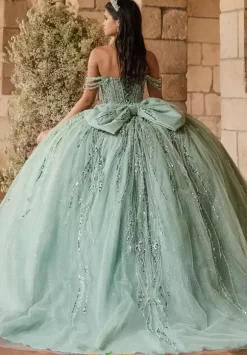 LizLuo Quinceanera 56550
