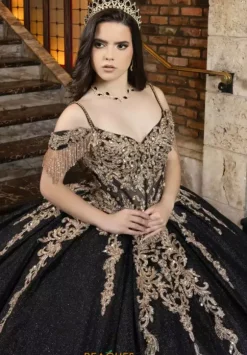 LizLuo Quinceanera 80041