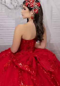 LizLuo Quinceanera 26101