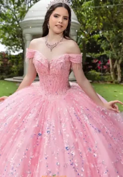 LizLuo Quinceanera 56536