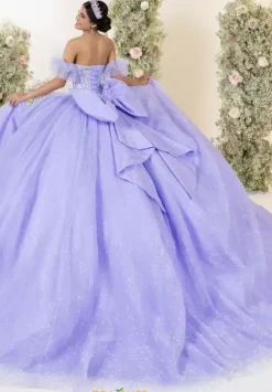 LizLuo Quinceanera 56558