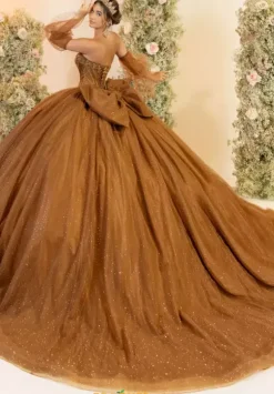 LizLuo Quinceanera 56552