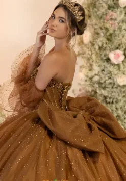 LizLuo Quinceanera 56552