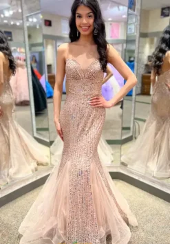 Long Mermaid Sequins Dress 20548